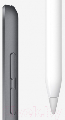 Планшет Apple iPad Mini 256GB / MUU32 (серый космос)