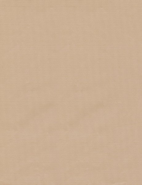 Рулонная штора Delfa Сантайм Уни СРШ-01 МЭД130 (34x160, песок)