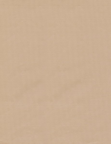 Рулонная штора Delfa Сантайм Уни СРШ-01 МЭД130 (57x160, песок)