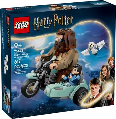 Конструктор Lego Harry Potter Поездка Хагрида и Гарри на мотоцикле 76443 - 