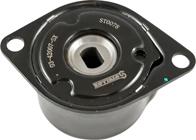 

Натяжитель ремня генератора, 0342007SX