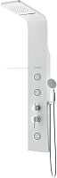 

Душевая панель AM.PM, Joy W85P-2-136AW