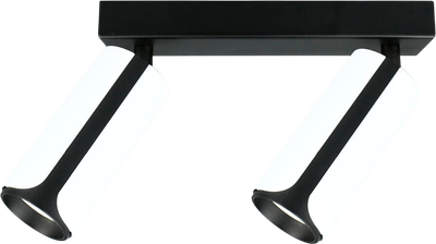 Спот General Lighting GWL-2GU10-M-IP20 / 661711 -