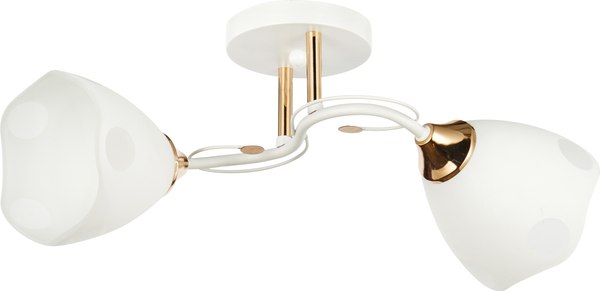 Потолочный светильник Mirastyle WX-6104/2 WH+FGD