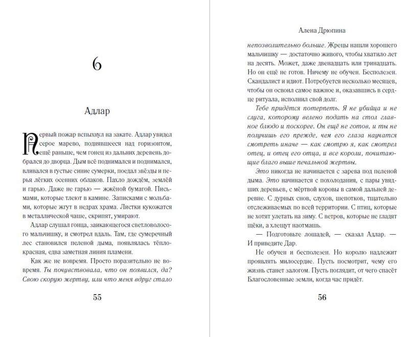 Художественная книга Эксмо Жертва короля, твердая обложка ( Дрюпина Алёна) — фото 5