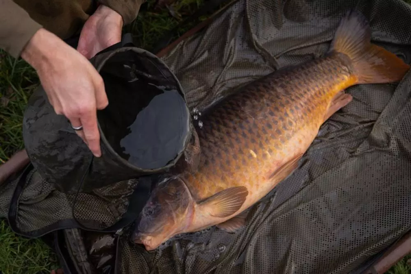 Ведро рыболовное Korda Compac Water Bucket / KLUG141