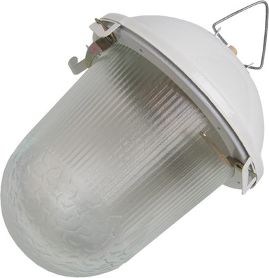 

Светильник ЖКХ, НСП 02-100-001.01 / 437821