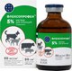 Раствор для лечения опорно-двигательного аппарата Doctor VIC Флексопрофен 5% (50мл) - 
