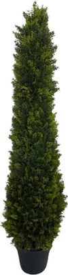 Искусственное растение Merry Bear Home Decor Туя Западная Смарагд / KA0029-120 (120см) -