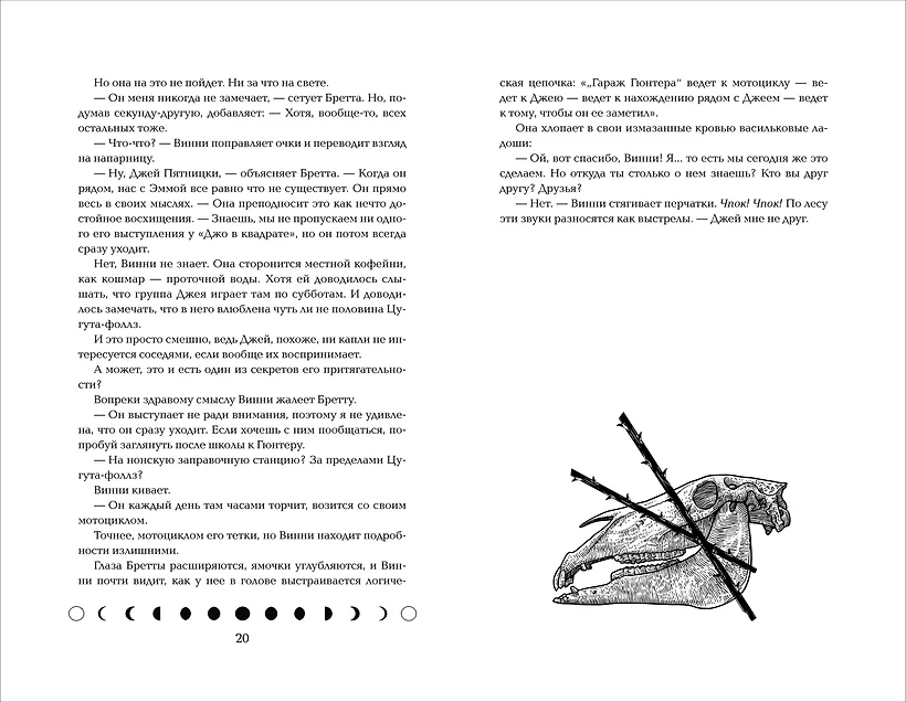 Художественная книга О2 Светочи 1. Испытание кошмаром, твердая обложка (Деннард Сьюзан ) — фото 2
