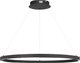 Потолочный светильник ST Luce SL6238.443.01 - 
