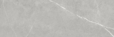 Плитка NewTrend Rockstyle Gray WT93ROK15 (300x900) - 