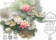 Набор бумаги для рисования Малевичъ Monet / 401570 (20л) - 