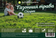 Семена газонной травы DSV Спорт (300г) - 