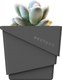 Кашпо BOTANICA Air для кактусов и суккулентов (7.35x6.5см, черный) - 