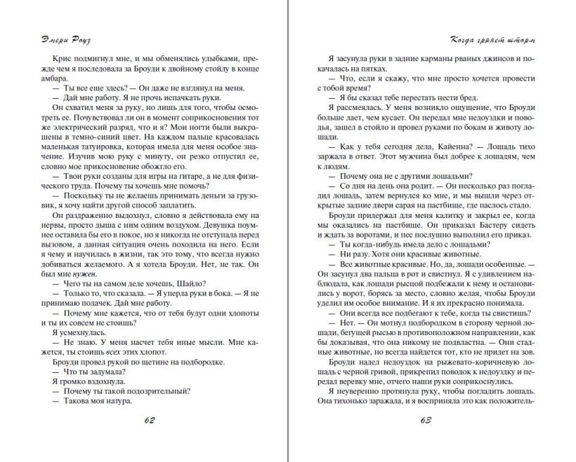 Художественная книга FreeDom Когда грянет шторм (Роуз Эмери) — фото 6