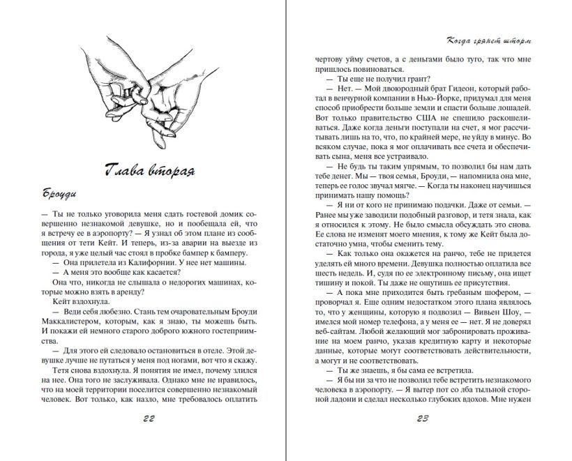 Художественная книга FreeDom Когда грянет шторм (Роуз Эмери) — фото 2