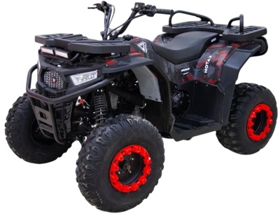 

Квадроцикл, Grizlik W200