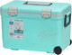Термоконтейнер Shinwa Holiday Land Cooler / HLC-27H-BL (голубой) - 