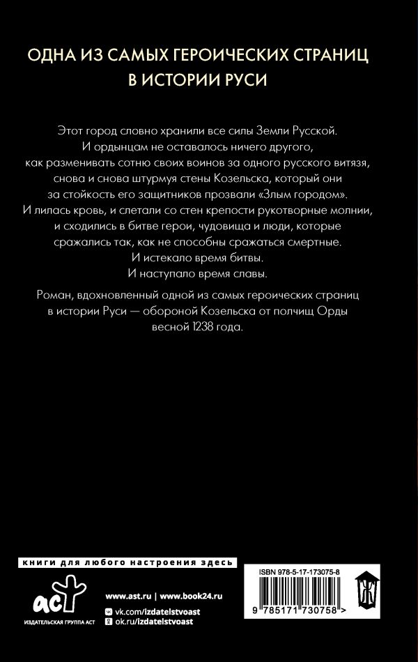 Художественная книга АСТ Злой город, твердая обложка (Силлов Дмитрий) — фото 2