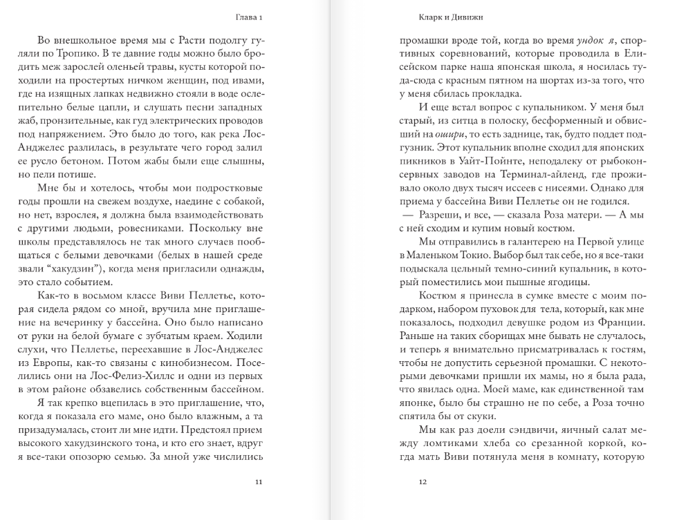 Художественная книга АСТ Кларк и Дивижн, твердая обложка (Хирахара Наоми) — фото 6