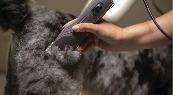 Машинка для стрижки шерсти Wahl 3027127