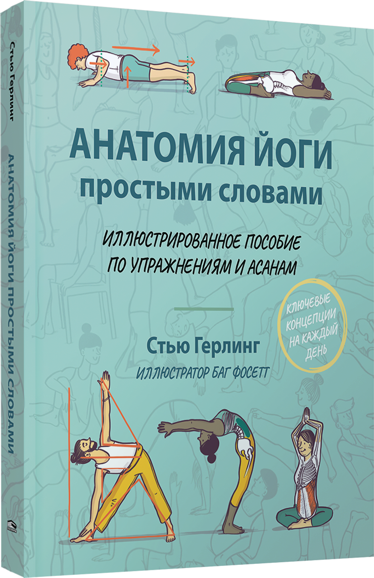 Нехудожественная книга Попурри Анатомия йоги простыми словами, мягкая обложка (Герлинг Стью)