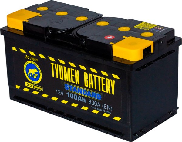 Автомобильный аккумулятор Tyumen Battery L Standard 100L L5