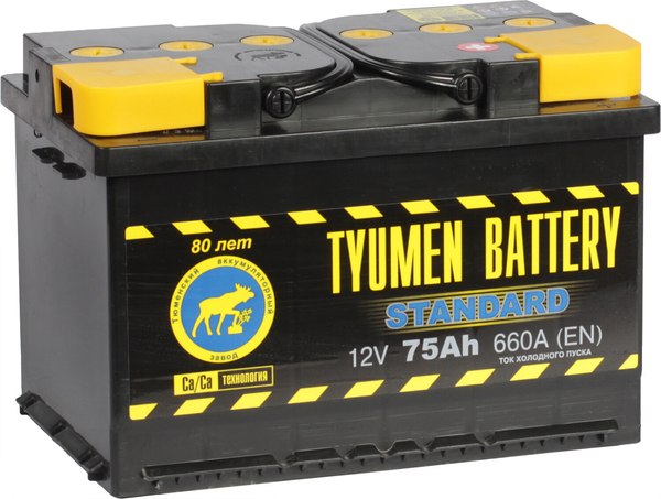 Автомобильный аккумулятор Tyumen Battery Standard 75L L3 (75А/ч)