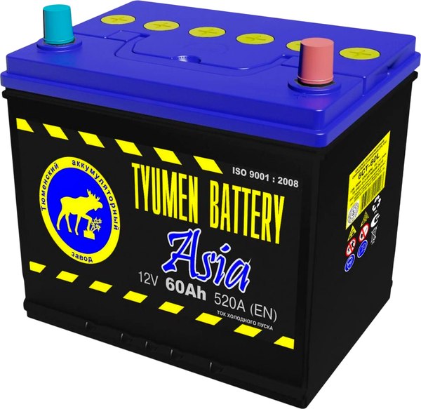 Автомобильный аккумулятор Tyumen Battery R+ Asia 60R D23