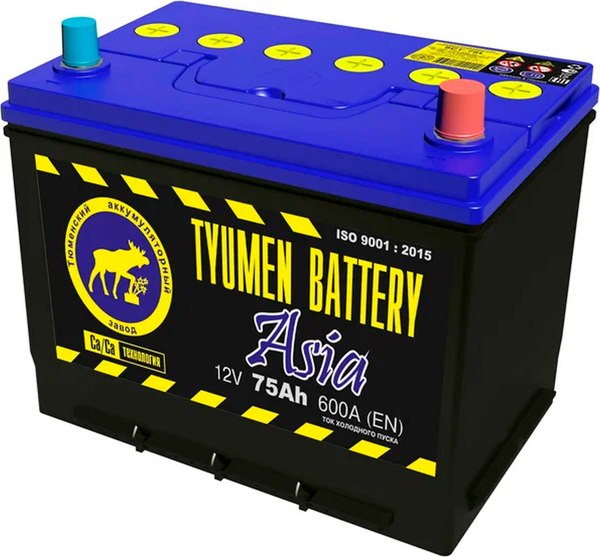 Автомобильный аккумулятор Tyumen Battery R+ Asia 75R D26