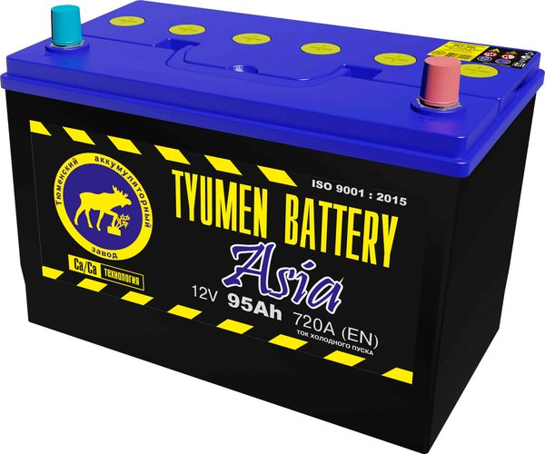 Автомобильный аккумулятор Tyumen Battery R+ Asia 95R D31 (95А/ч)