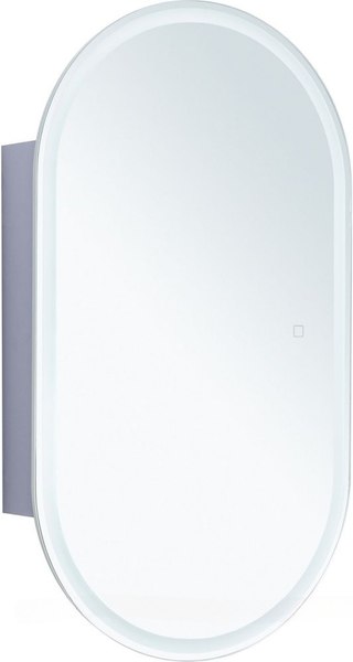 Шкаф с зеркалом для ванной Aquanet Монте 50x90 Led / 344787