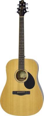 

Акустическая гитара, D2