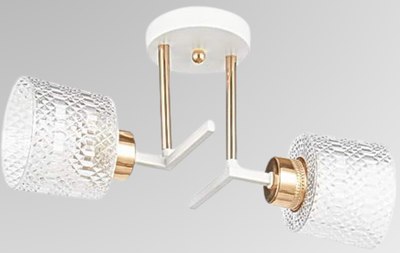Потолочный светильник Aitin-Pro НПБ 02-2x40-101 / 6256/2 (белый/золото) - 