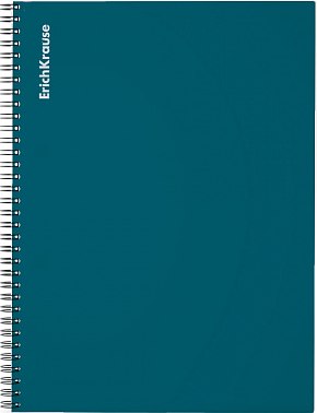 Тетрадь Erich Krause Reef / 54139 (80л, бирюзовый)
