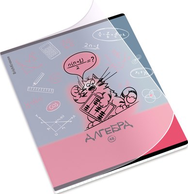Тетрадь предметная Erich Krause Котоформулы. Алгебра / 62530 (48л) - 