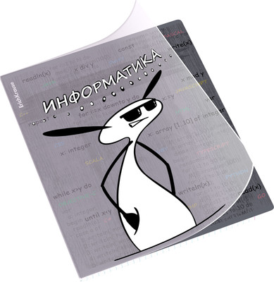 Тетрадь предметная Erich Krause Чубрик. Информатика / 59479 (48л) -