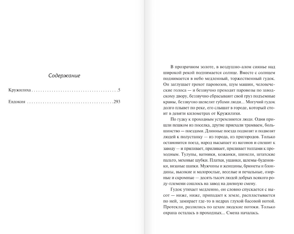 Художественная книга АСТ Кружилиха. Евдокия, твердая обложка (Панова Вера) — фото 2