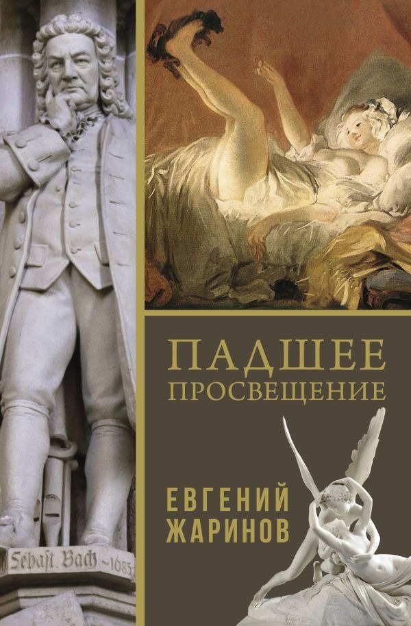 Нехудожественная книга АСТ Падшее просвещение, твердая обложка (Жаринов Евгений)