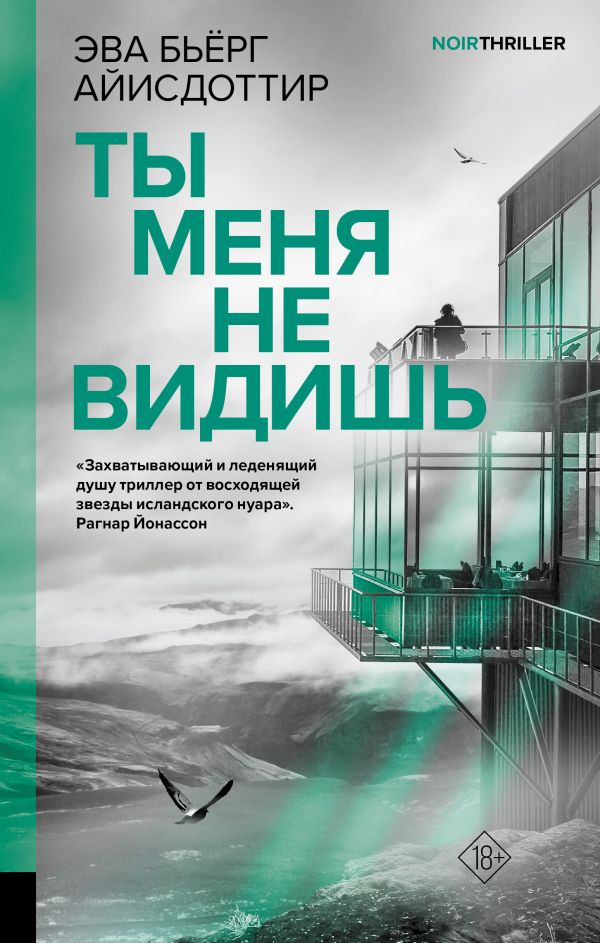 Художественная книга АСТ Ты меня не видишь, твердая обложка (Айисдоттир Эва)