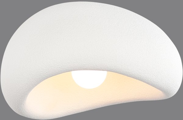 Потолочный светильник ST Luce SL1522.502.01