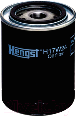 Масляный фильтр Hengst H17W24