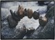 Коврик для ванной Shahintex Fantasy Icarpet 60x100 001 / 451773 - 