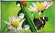Коврик для ванной Shahintex Fantasy Icarpet 60x100 006 / 451872 - 