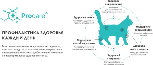 Сухой корм для кошек Grandorf Adult Sterilised Fresh Lamb&Sweet Potato (400г)