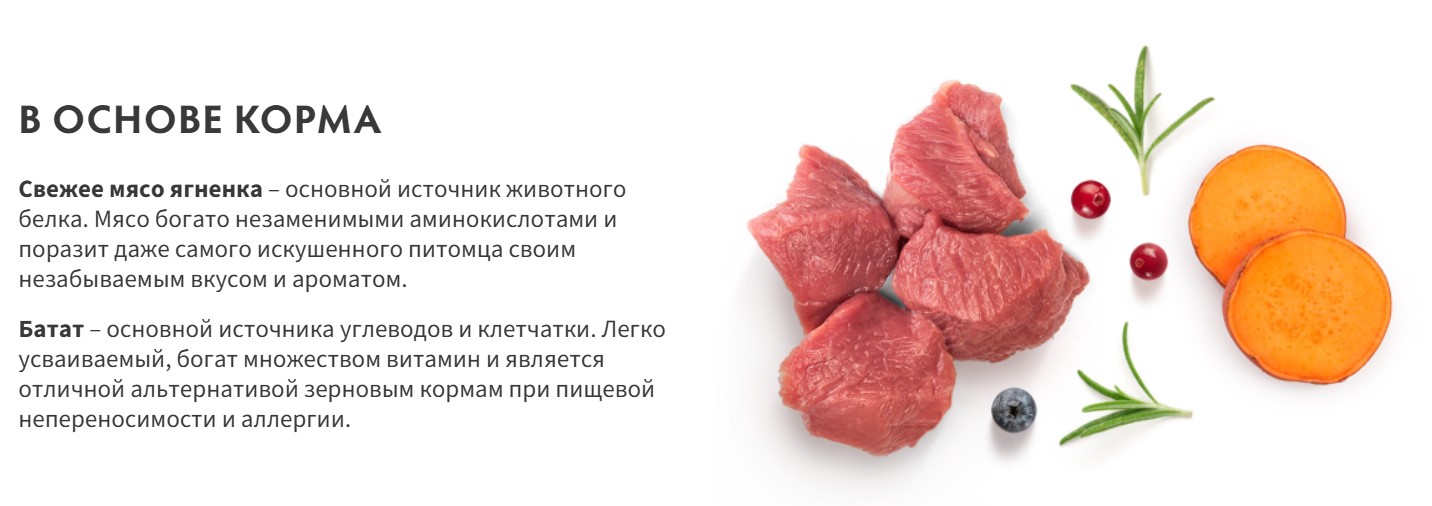 Сухой корм для собак Grandorf Junior Medium&Maxi Breeds Fresh Lamb&Sweet Potato (3кг) — фото 2