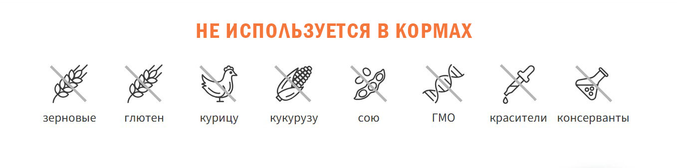 Сухой корм для собак Grandorf Junior Medium&Maxi Breeds Fresh Lamb&Sweet Potato (3кг) — фото 3