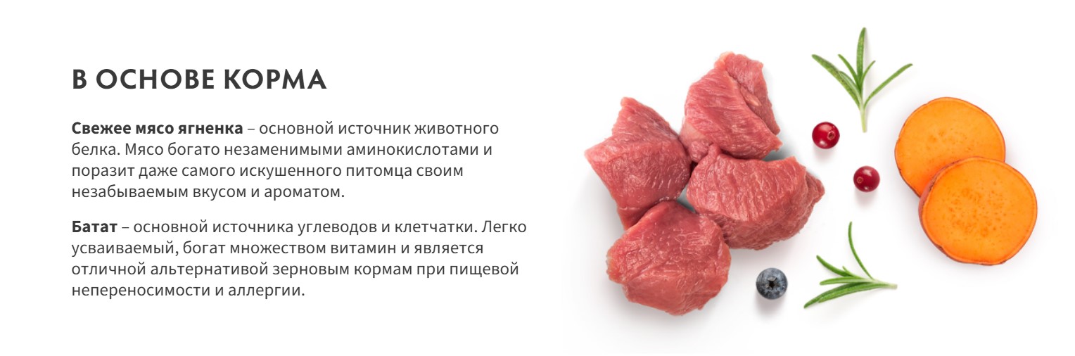 Сухой корм для собак Grandorf Adult Mini Breeds Fresh Lamb&Sweet Potato (1кг) — фото 2