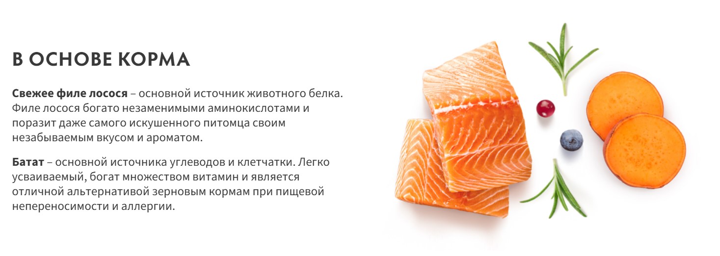 Сухой корм для собак Grandorf Adult Mini Breeds Fresh Salmon&Sweet Potato (1кг) — фото 2